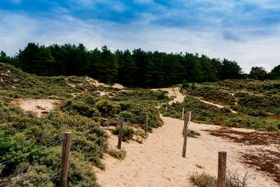 Natuur en wandeltochten - Boulogne Marina