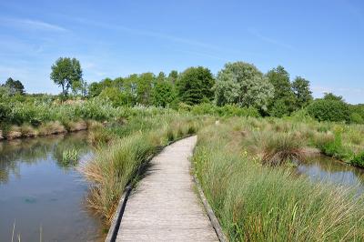 Natuur en wandeltochten - Boulogne Marina