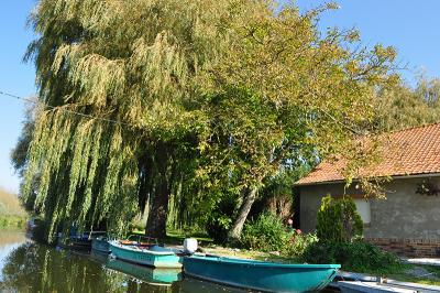 Natuur en wandeltochten - Boulogne Marina