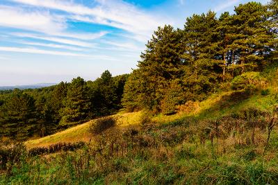 Natuur en wandeltochtens - Boulogne Marina